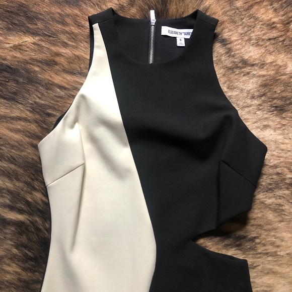 Elizabeth & James Lunai Cutout Colorblock Dress - Picture 6 of 7